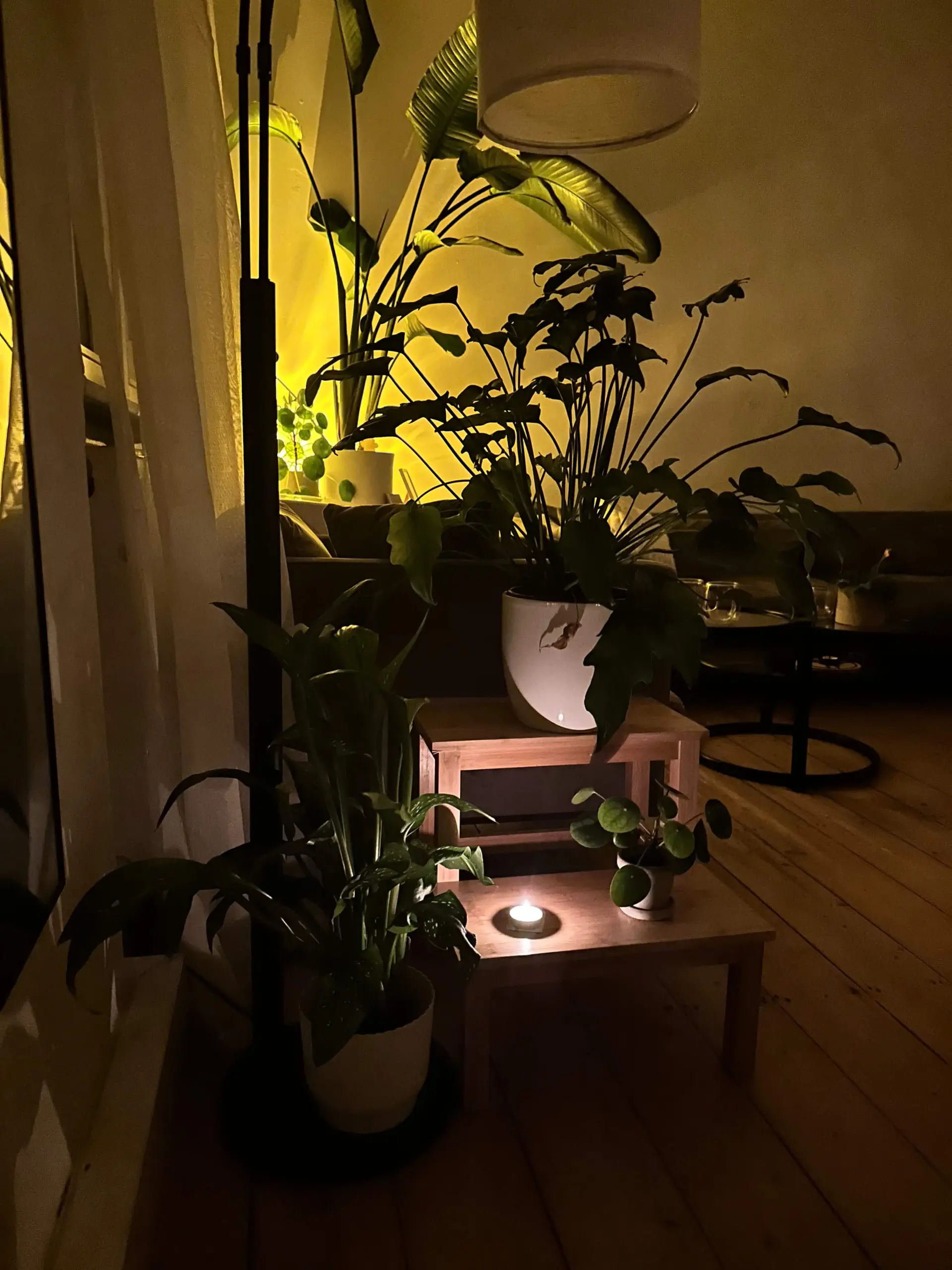 Atmosphäre im Artevum